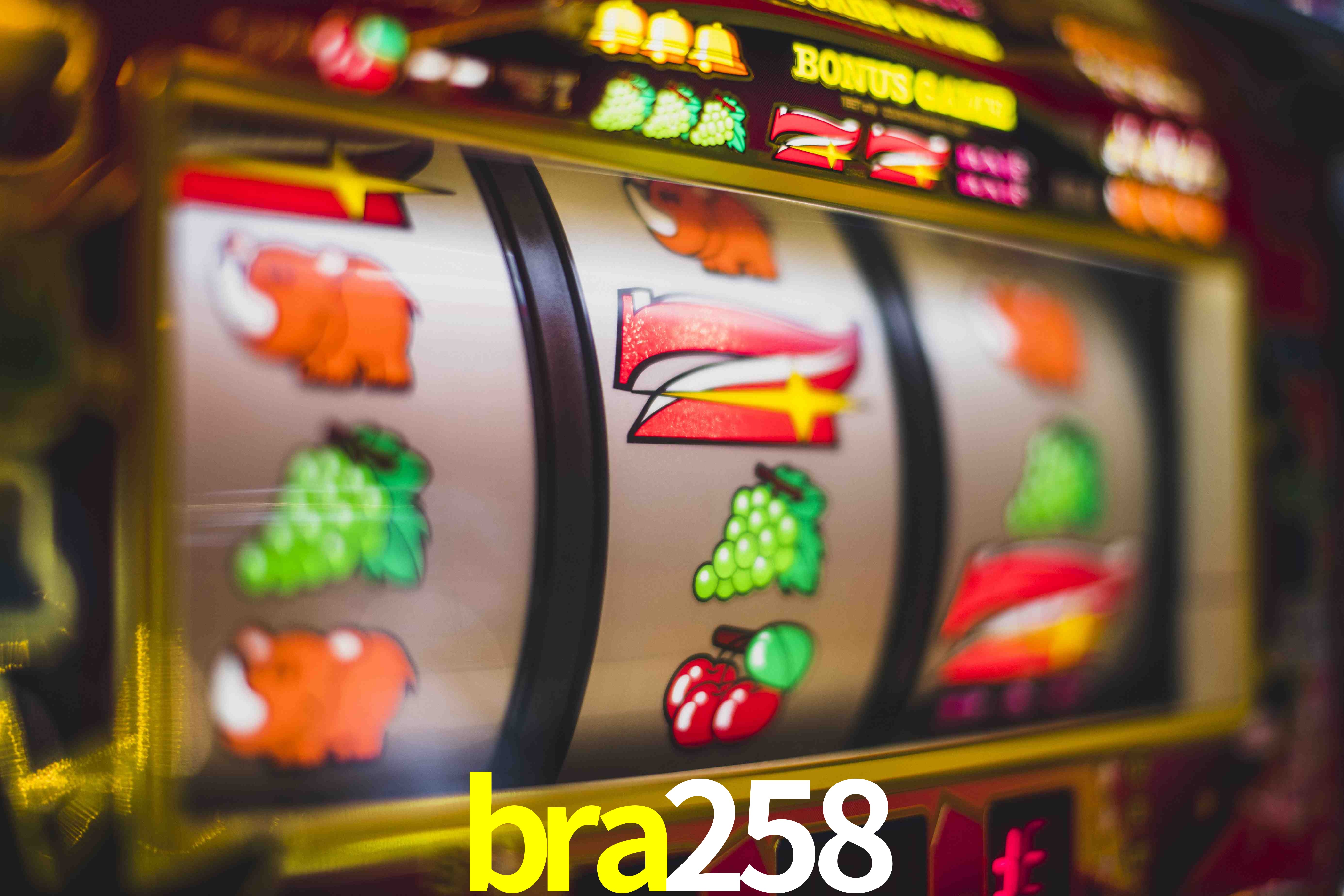 Sports Statistics bra258